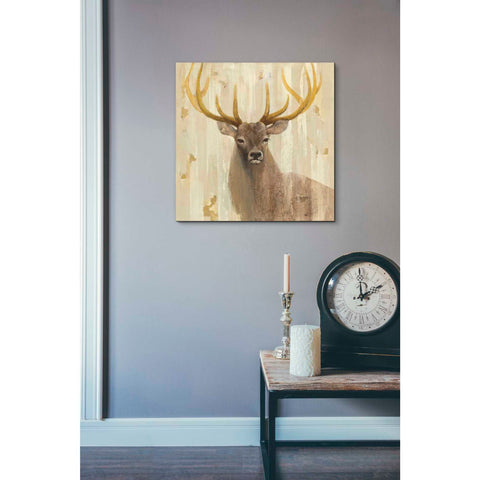 Image of 'Forest King' by Albena Hristova, Canvas Wall Art,18 x 18