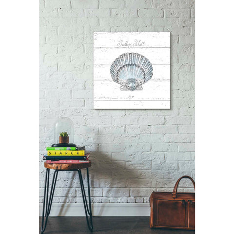 Image of 'Aqua Underwater Life VIII Shiplap' by Daphne Brissonet, Canvas Wall Art,18 x 18