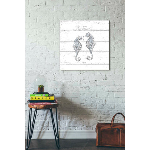 Image of 'Aqua Underwater Life V Shiplap' by Daphne Brissonet, Canvas Wall Art,18 x 18