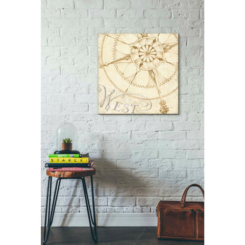 Image of 'Coast to Coast Sepia IV' by Daphne Brissonet, Canvas Wall Art,18 x 18