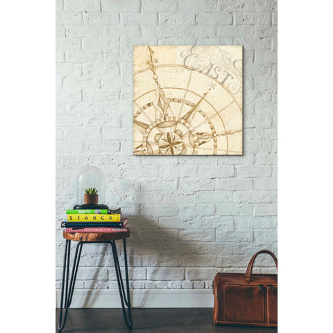 Image of 'Coast to Coast Sepia III' by Daphne Brissonet, Canvas Wall Art,18 x 18