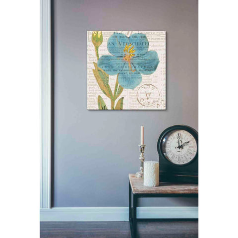 Image of 'Bookshelf Botanical VI' by Katie Pertiet, Canvas Wall Art,18 x 18