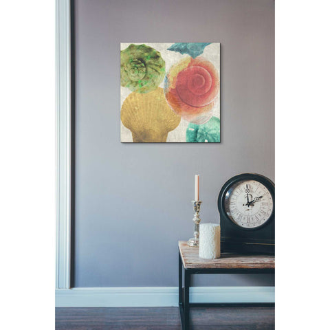 Image of 'Luminous Seashells 4' by Elena Ray Canvas Wall Art,18 x 18