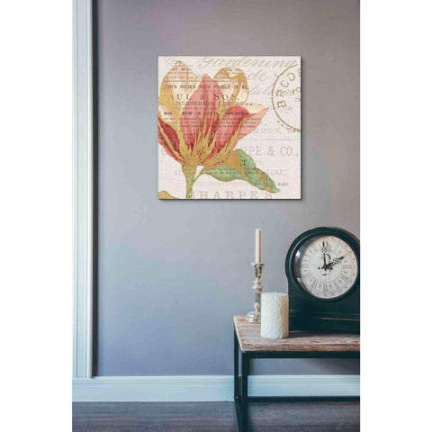 Image of 'Bookshelf Botanical III' by Katie Pertiet, Canvas Wall Art,18 x 18