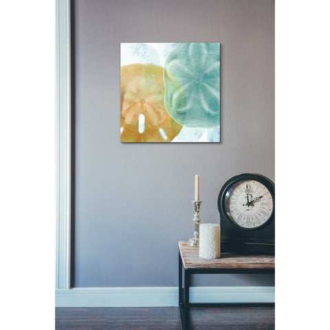 Image of 'Luminous Seashells' by Elena Ray Canvas Wall Art,18 x 18