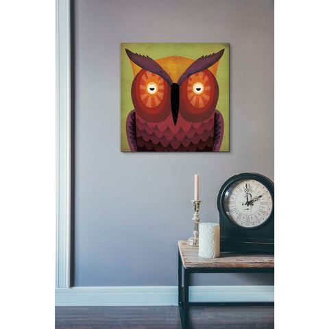 Image of 'Owl Wow' by Ryan Fowler, Canvas Wall Art,18 x 18