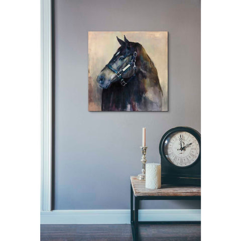 Image of 'Ritzy Light' by Marilyn Hageman, Canvas Wall Art,18 x 18