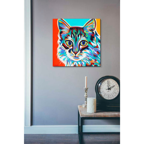 Image of 'Dramatic Cats II' by Carolee Vitaletti Giclee Canvas Wall Art