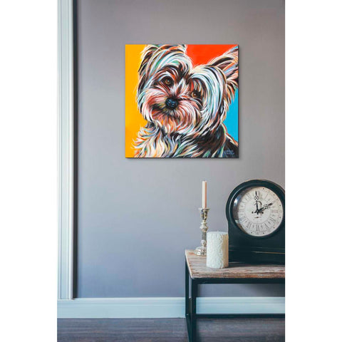 Image of 'Sweet Yorkie II' by Carolee Vitaletti Giclee Canvas Wall Art