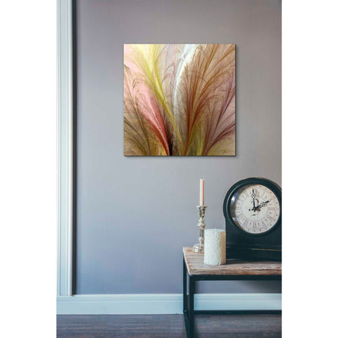 Image of 'Fountain Grass II' by James Burghardt Giclee Canvas Wall Art