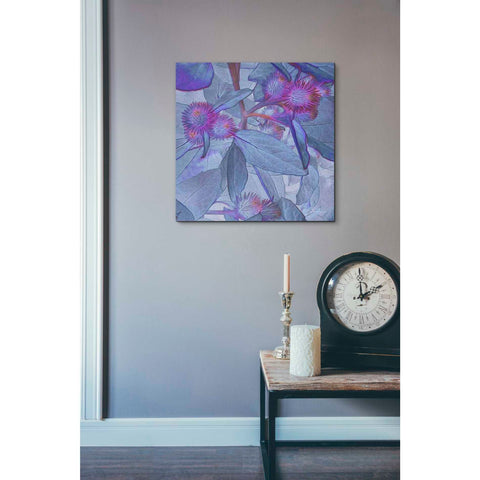 Image of 'Prickley Tiles IV' by James Burghardt Giclee Canvas Wall Art