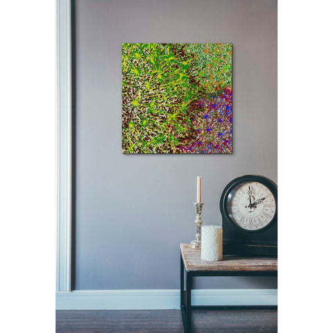 Image of 'Profusion II' by James Burghardt Giclee Canvas Wall Art