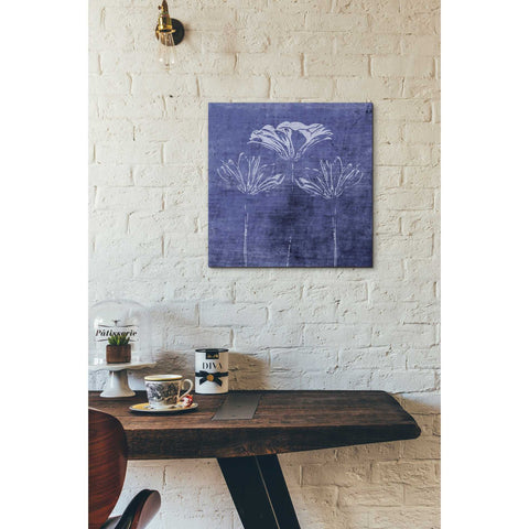 Image of 'Indigo Wild Flowers' by Linda Woods, Canvas Wall Art,18 x 18