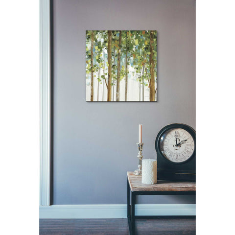 Image of 'Forest Study' by Lisa Audit, Canvas Wall Art,,18 x 18