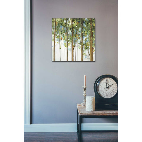 Image of 'Forest Study III' by Lisa Audit, Canvas Wall Art,,18 x 18