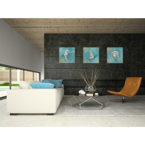 Image of 'Treasures From The Sea I' by Danhui Nai, Canvas Wall Art,18 x 18