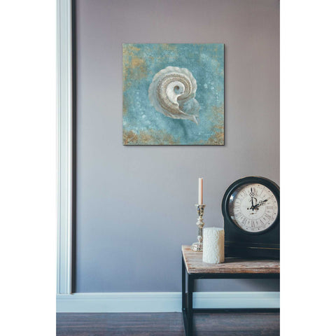 Image of 'Treasures From The Sea III' by Danhui Nai, Canvas Wall Art,18 x 18