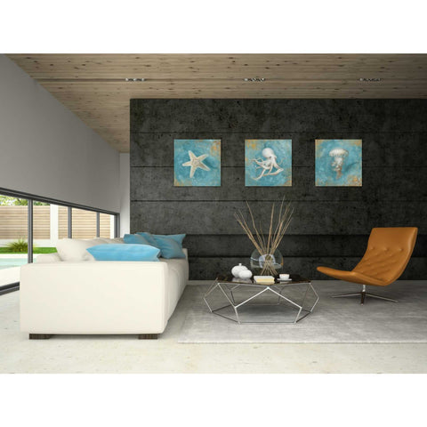 Image of 'Treasures From The Sea IV' by Danhui Nai, Canvas Wall Art,18 x 18