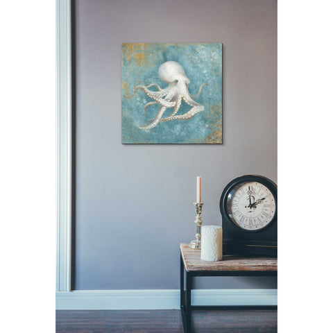 Image of 'Treasures From The Sea V' by Danhui Nai, Canvas Wall Art,18 x 18