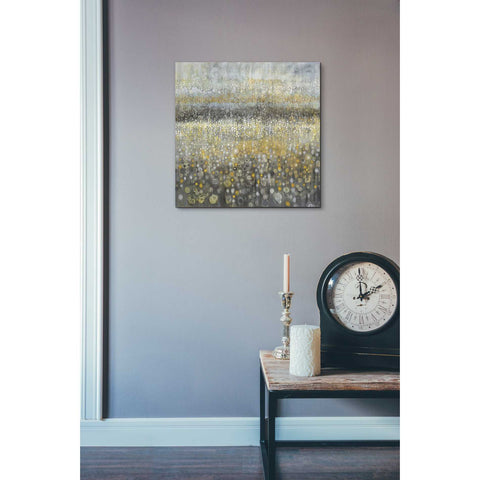 Image of 'Rain Abstract II' by Danhui Nai, Canvas Wall Art,18 x 18