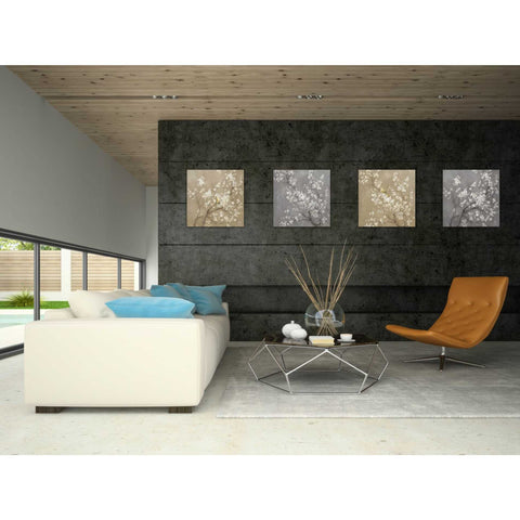 Image of 'White Cherry Blossom II on Grey' by Danhui Nai, Canvas Wall Art,18 x 18