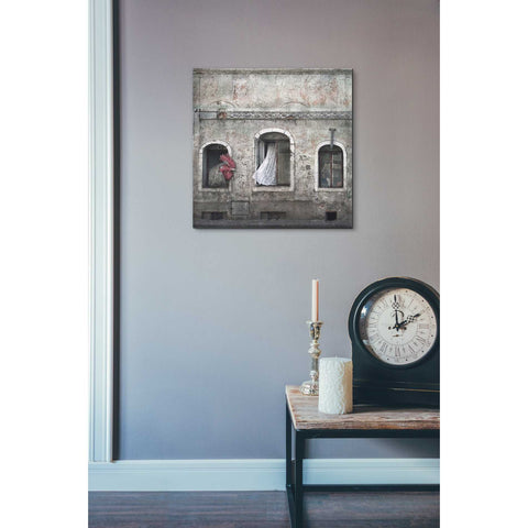 Image of 'Kogut Domowy' by Dariusz Klimczak, Canvas Wall Art,18 x 18