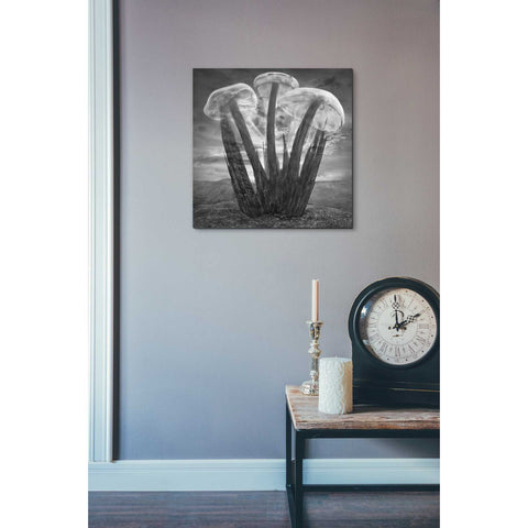 Image of 'Meduzalem' by Dariusz Klimczak, Canvas Wall Art,18 x 18