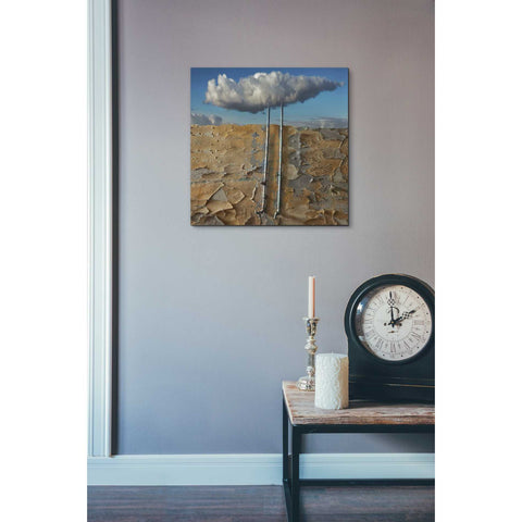 Image of 'Susza' by Dariusz Klimczak, Canvas Wall Art,18 x 18