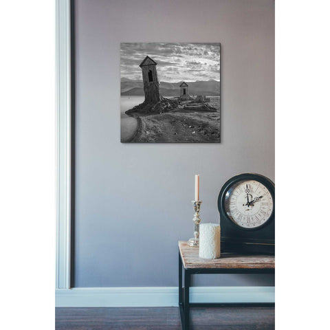 Image of 'Displaced' by Dariusz Klimczak, Canvas Wall Art,18 x 18