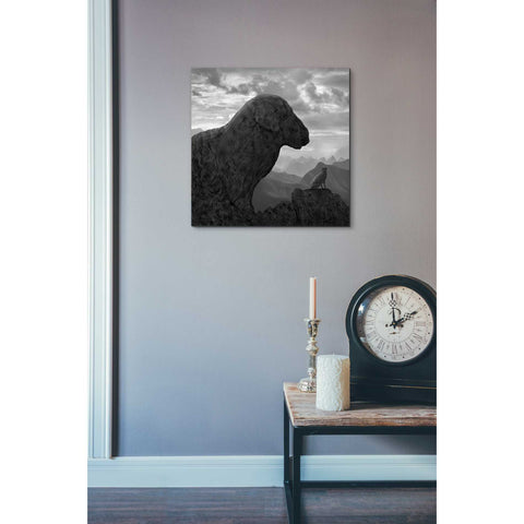 Image of 'Dog Rock' by Dariusz Klimczak, Canvas Wall Art,18 x 18