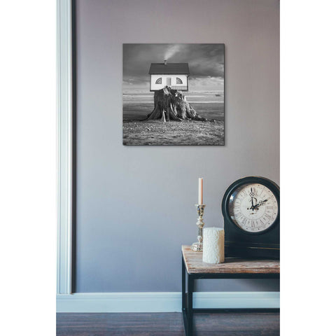 Image of 'House' by Dariusz Klimczak, Canvas Wall Art,18 x 18