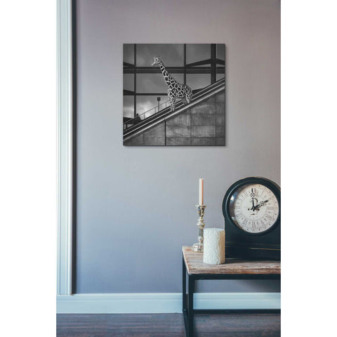 Image of 'Downstairs' by Dariusz Klimczak, Canvas Wall Art,18 x 18