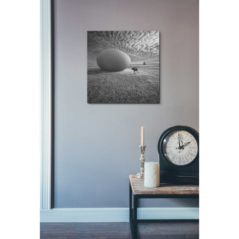 Image of 'EggO' by Dariusz Klimczak, Canvas Wall Art,18 x 18