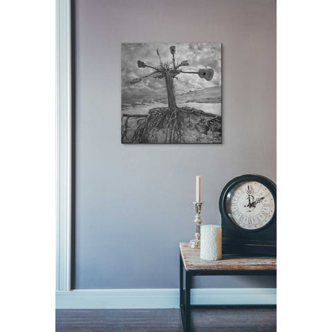 Image of 'Gitarodrzew' by Dariusz Klimczak, Canvas Wall Art,18 x 18