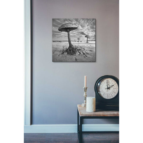 Image of 'Kanie' by Dariusz Klimczak, Canvas Wall Art,18 x 18