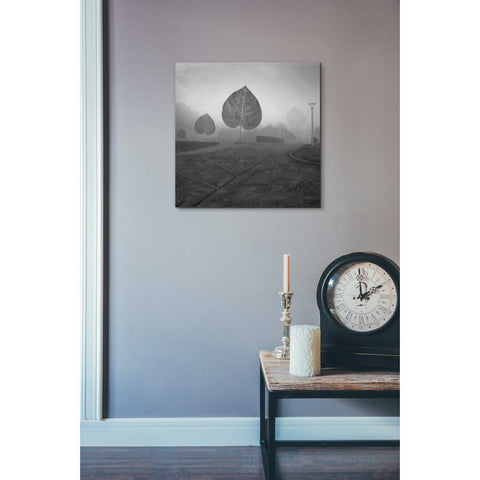 Image of 'Leave Alley' by Dariusz Klimczak, Canvas Wall Art,18 x 18