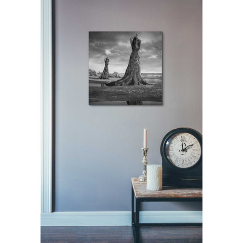 Image of 'Moll' by Dariusz Klimczak, Canvas Wall Art,18 x 18