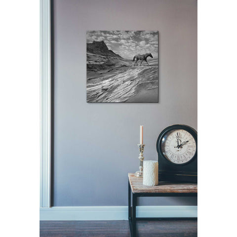 Image of 'Mustang Mountain' by Dariusz Klimczak, Canvas Wall Art,18 x 18