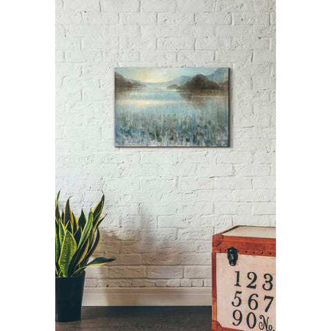 Image of 'Through the Mist' by Danhui Nai, Canvas Wall Art,18 x 26