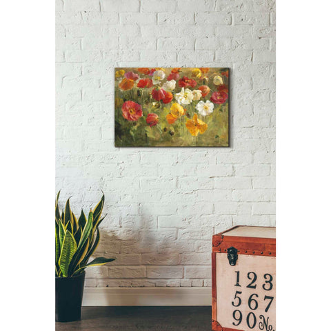Image of 'Poppy Field' by Danhui Nai, Canvas Wall Art,18 x 26