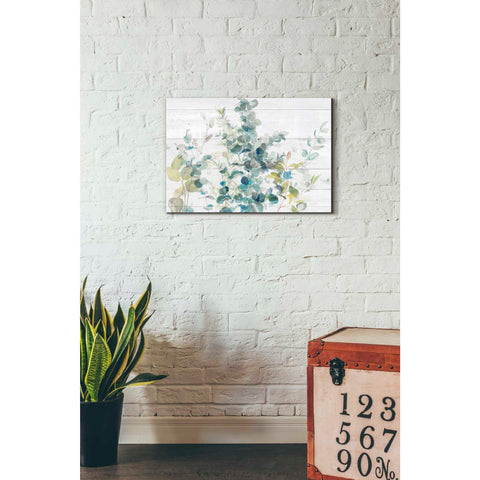 Image of 'Eucalyptus I on Shiplap Crop' by Danhui Nai, Canvas Wall Art,18 x 26