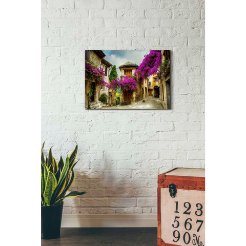 Image of 'Bougainvillea' Canvas Wall Art,18 x 26