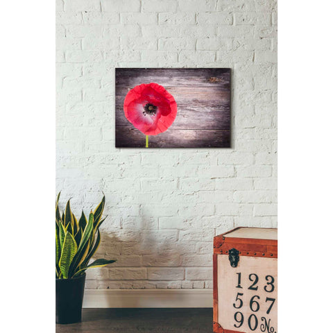 Image of 'Luxury On Rustic' Canvas Wall Art,18 x 26