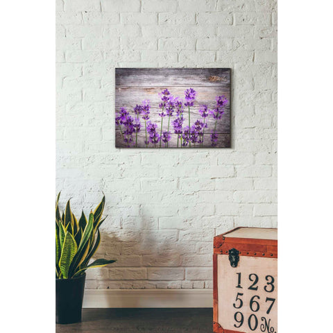 Image of 'Serene and Rustic' Canvas Wall Art,18 x 26