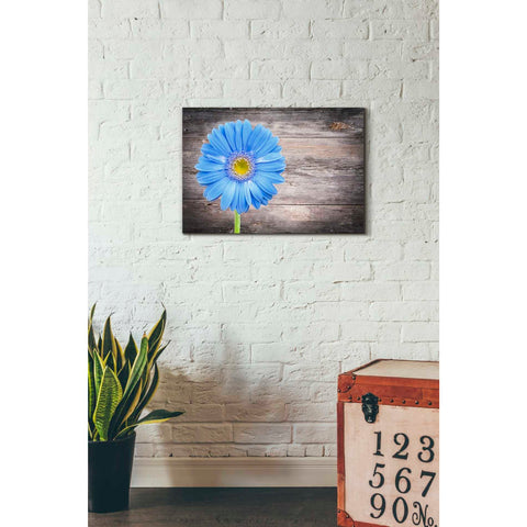 Image of 'Serenity' Canvas Wall Art,18 x 26