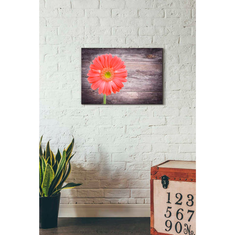 Image of 'Vitamin C' Canvas Wall Art,18 x 26