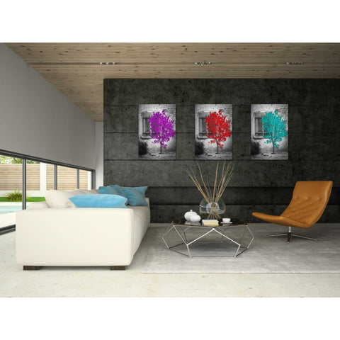 Image of 'Wisdom' Canvas Wall Art,18 x 26