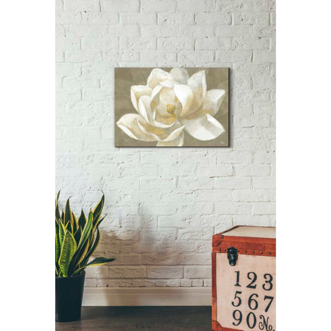 Image of 'Majestic Beige' by Albena Hristova, Canvas Wall Art,26 x 18