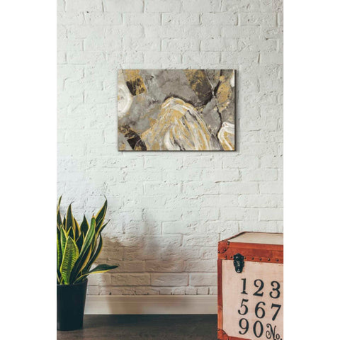 Image of 'Painted Desert Phoenix Neutral' by Albena Hristova, Canvas Wall Art,26 x 18