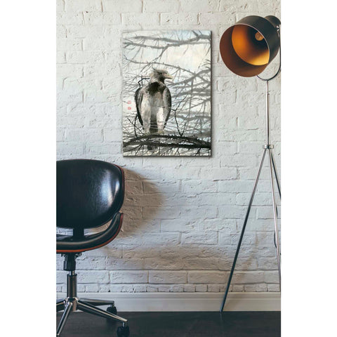 Image of 'Bird of Prey' by River Han, Giclee Canvas Wall Art